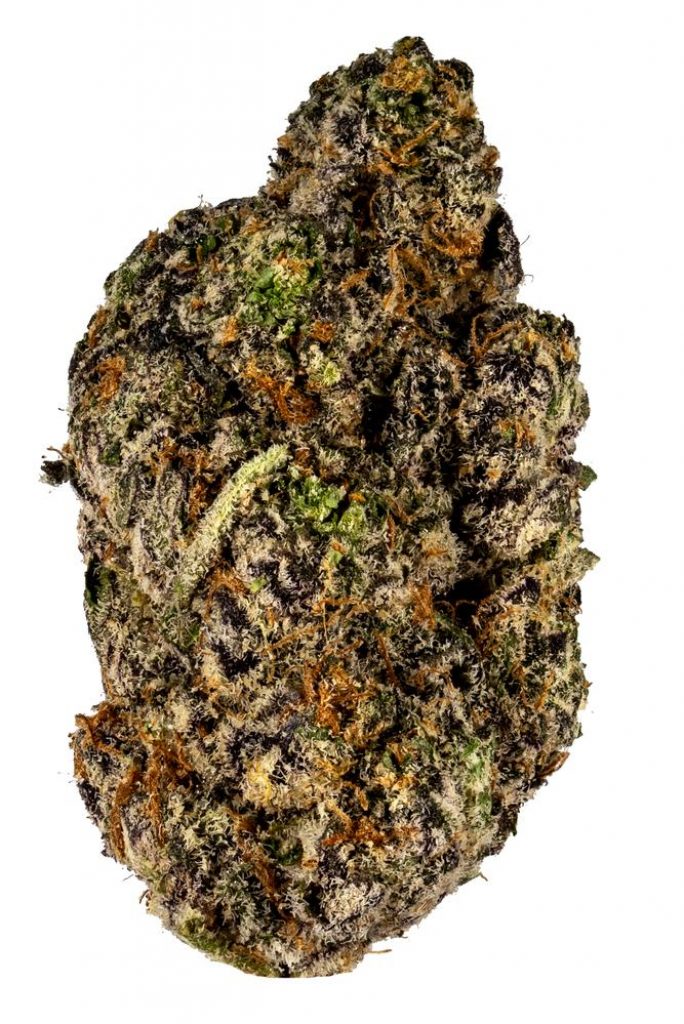 apple fritter strain