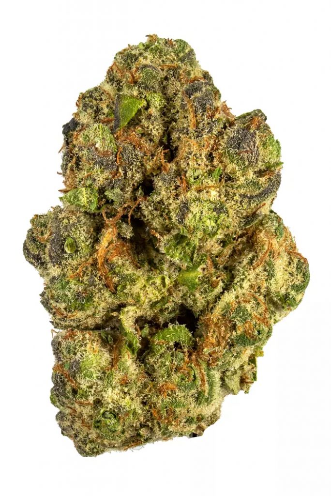 Berry Pie Strain