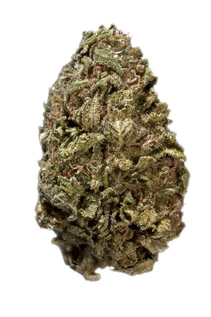 Yummy strain