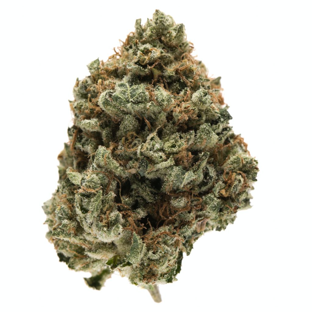 303 Kush Strain
