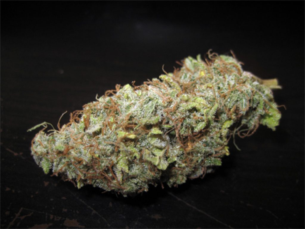 Satori Strain