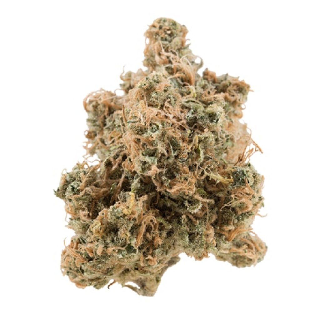 Silverhawks OG