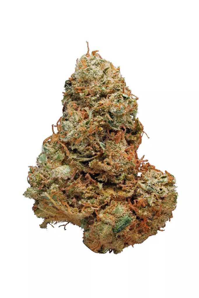 blackberry trainwreck strain