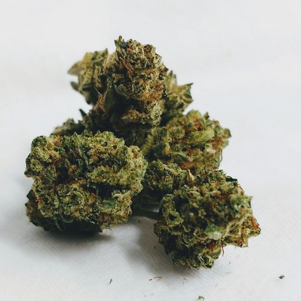 Bubble Cheese Strain