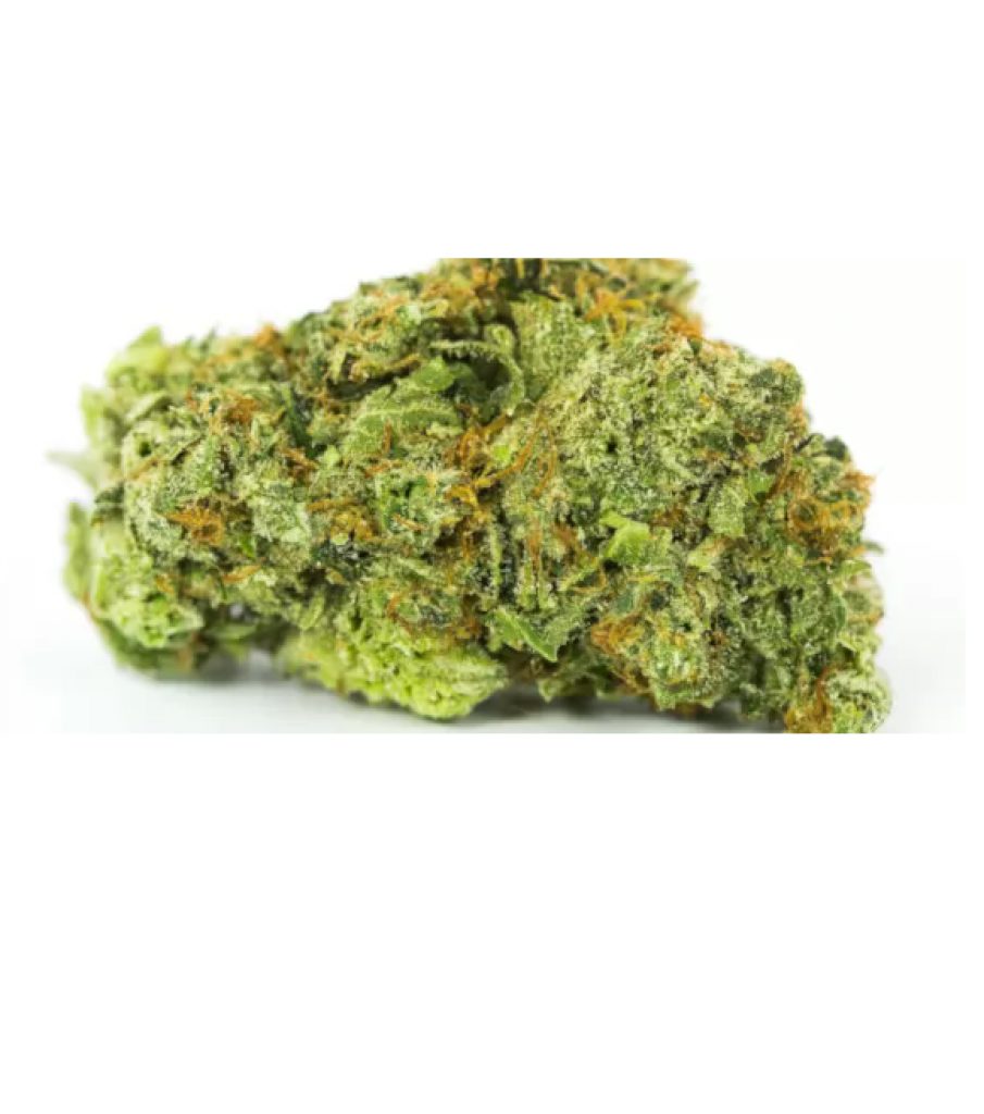 Dirty Old Bastard Strain