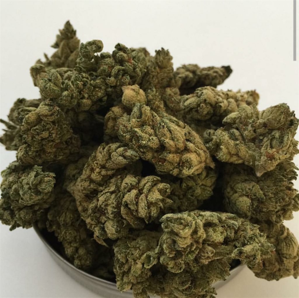 Ebola #7 Strain