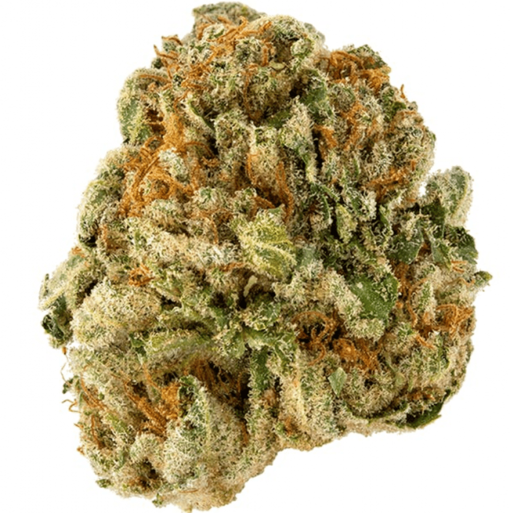 American Kush Strain