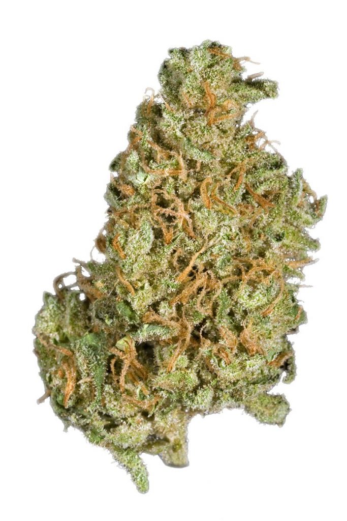 Blackberry Haze Strain