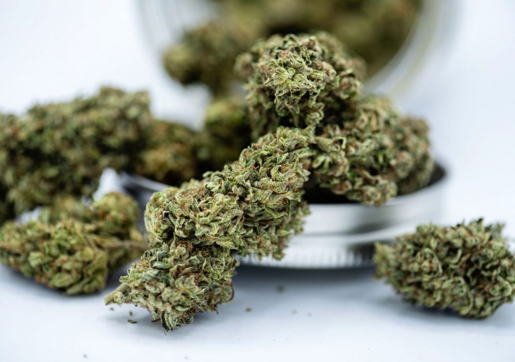 Double Mint Strain