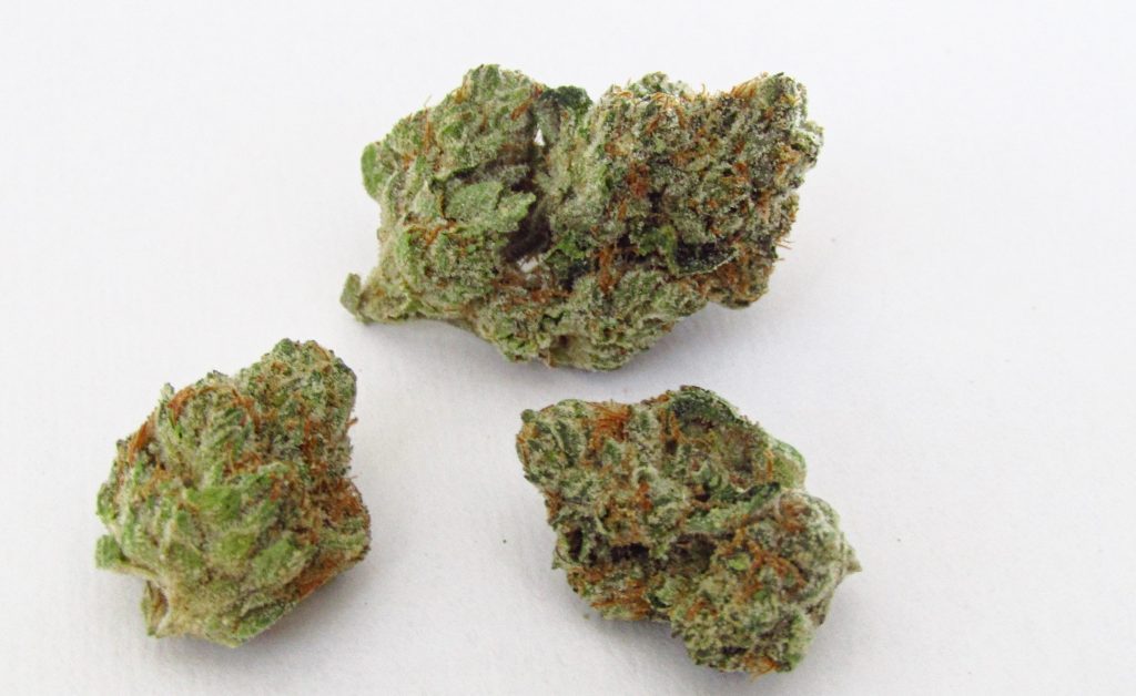 GMO Zkittlez Strain