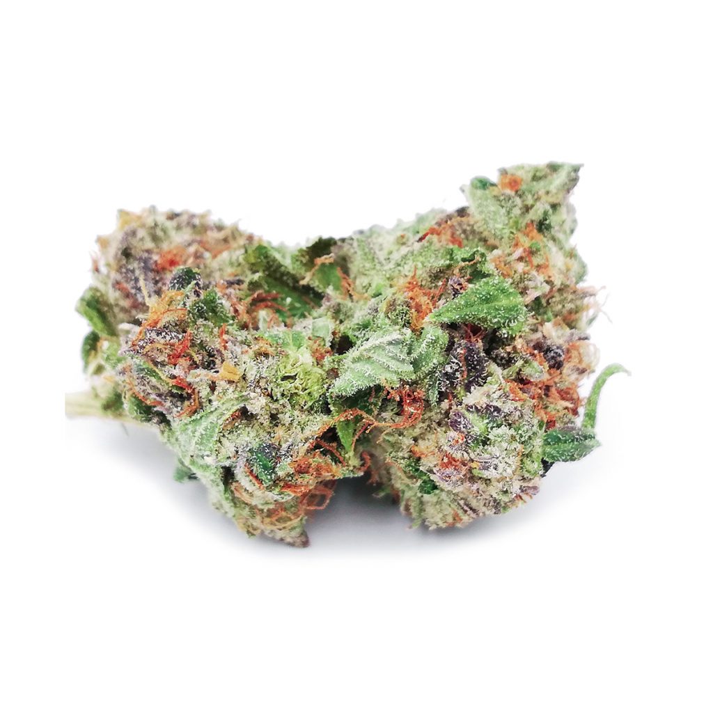 Glue Tech Strain