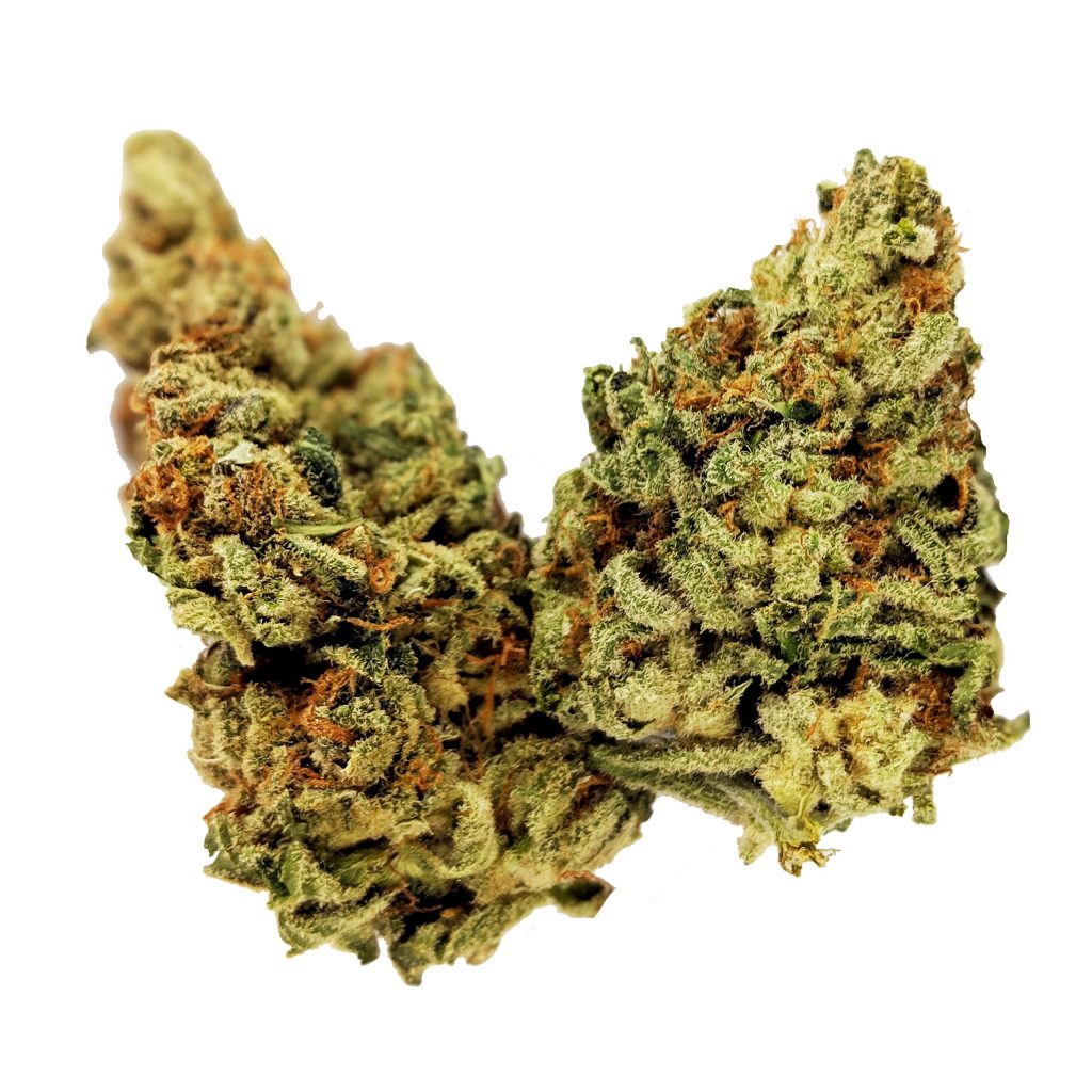 Kiwishunk Strain