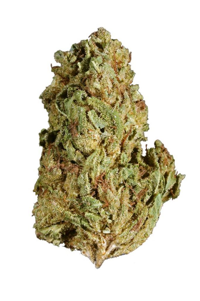 Limon Strain