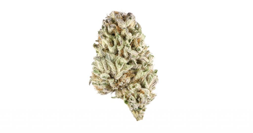 North Americal Indica Strain