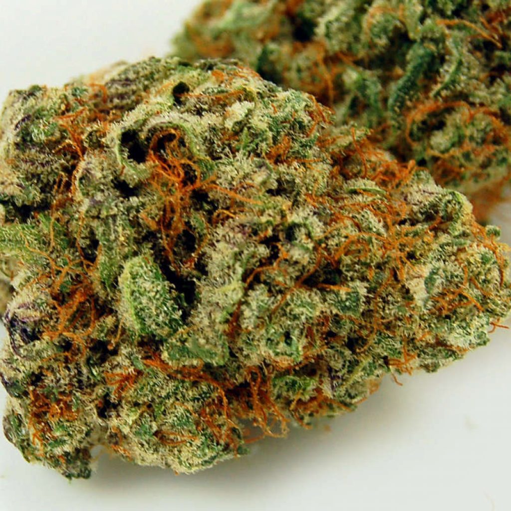 Ripped Bubba Strain