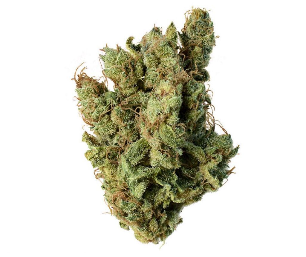 Shining Silver Haze Strain