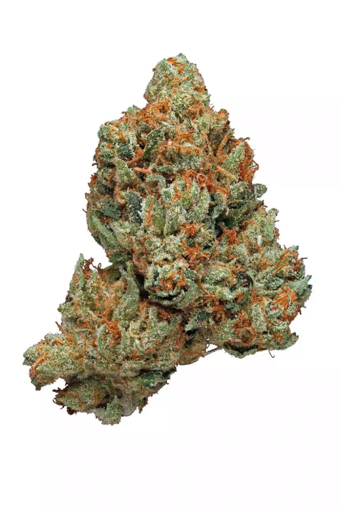 Venice OG Strain