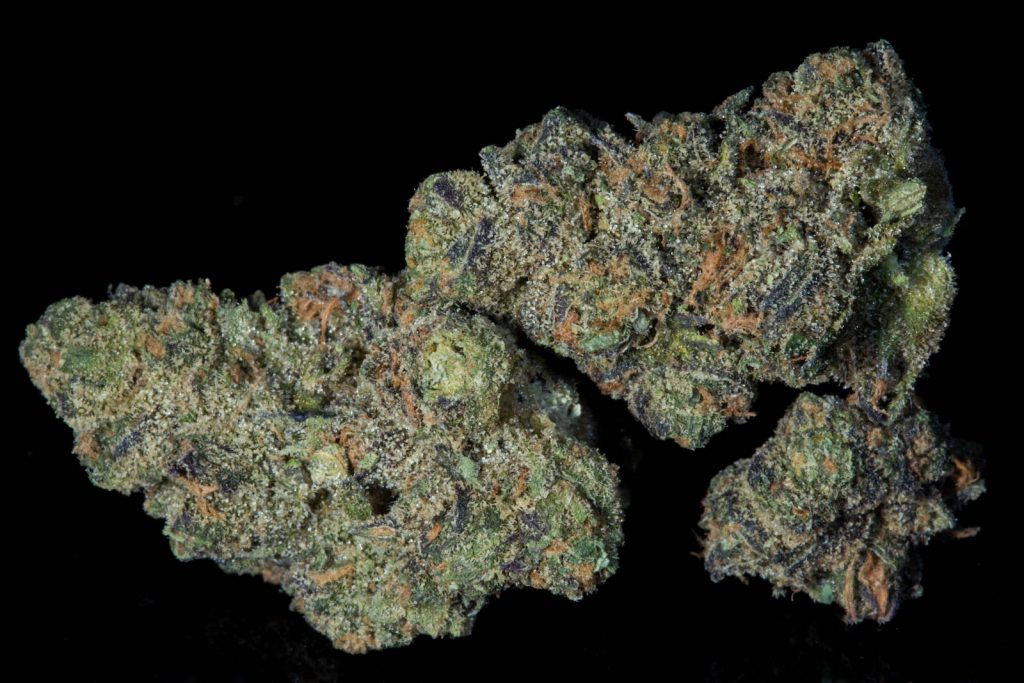 Purple Cheddar Strain