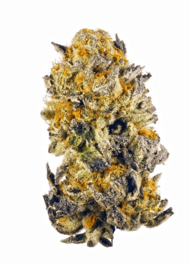 Trash Strain