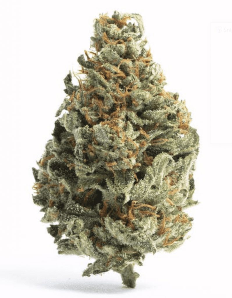 wonka's bubblicious strain