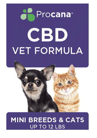 CBD for cats and dog picture