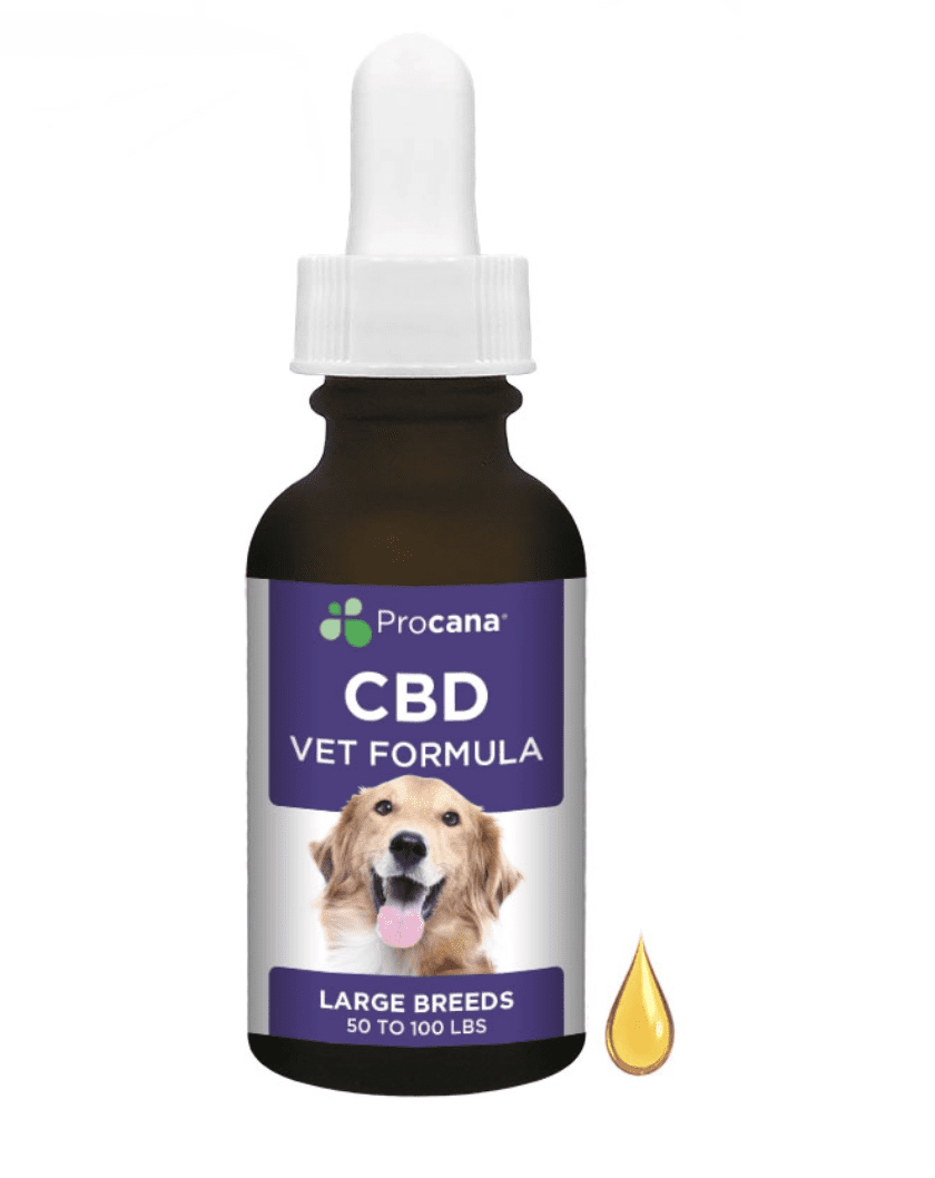 CBD for large Dogs