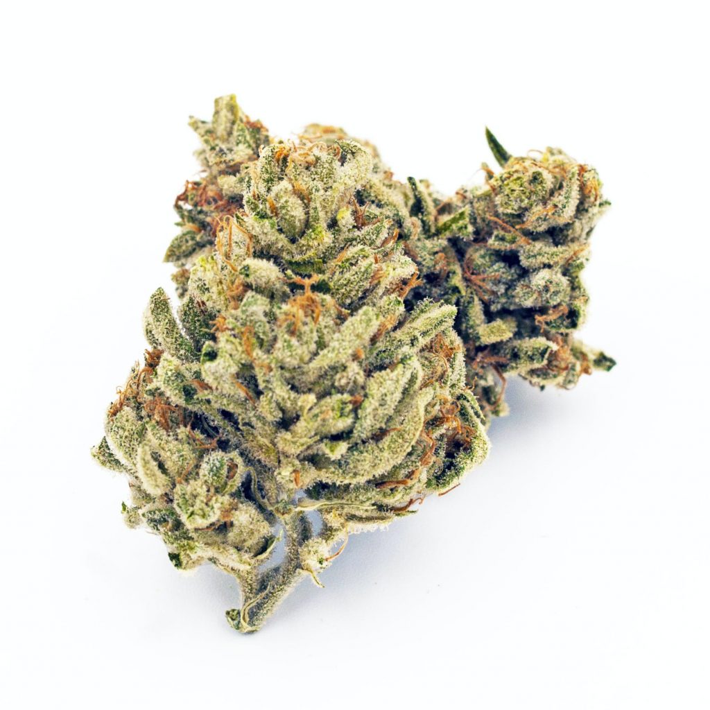 Tangie Ghost Train