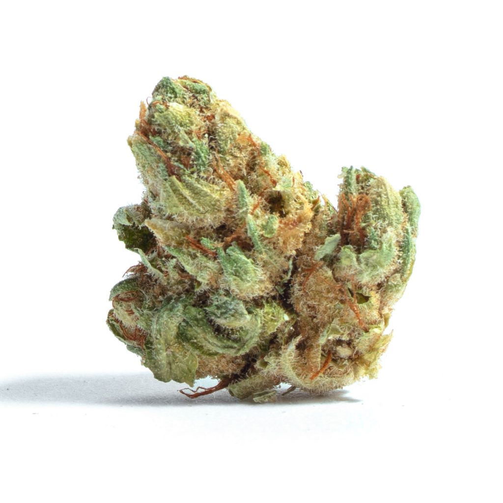 Black Raspberry Strain