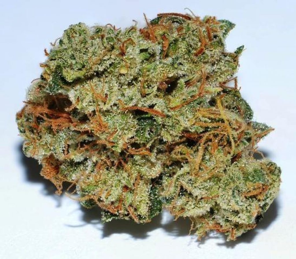 Coconut Oil Strain