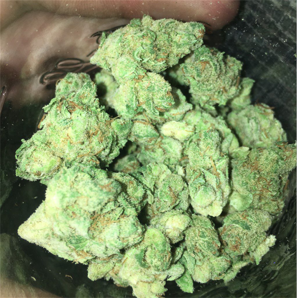 Jazz Strain Information, Effects & Ratings Flavor Fix