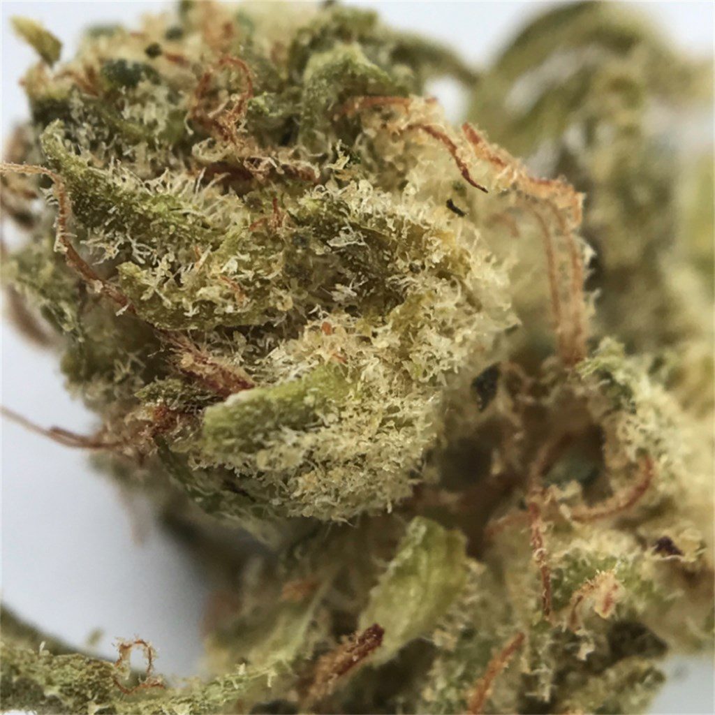 Sour breath Strain