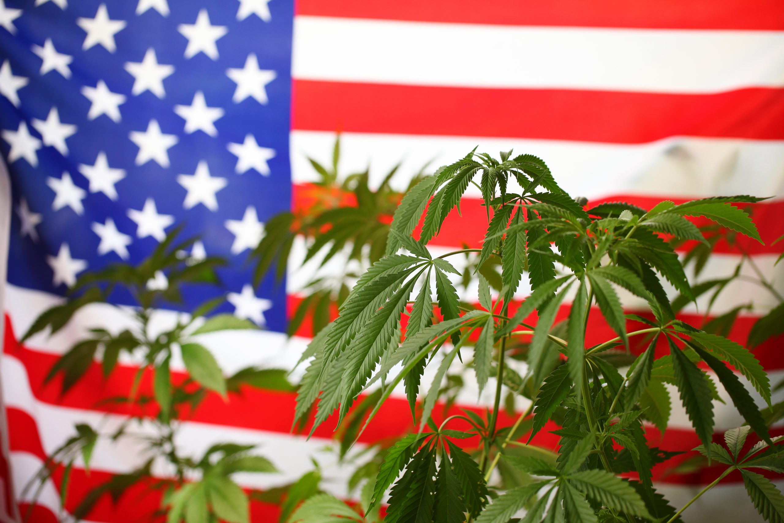 2021 US marijuana report on legalization