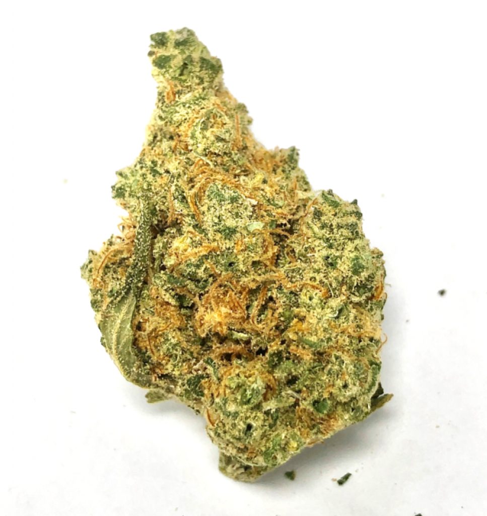 Apricot Strain