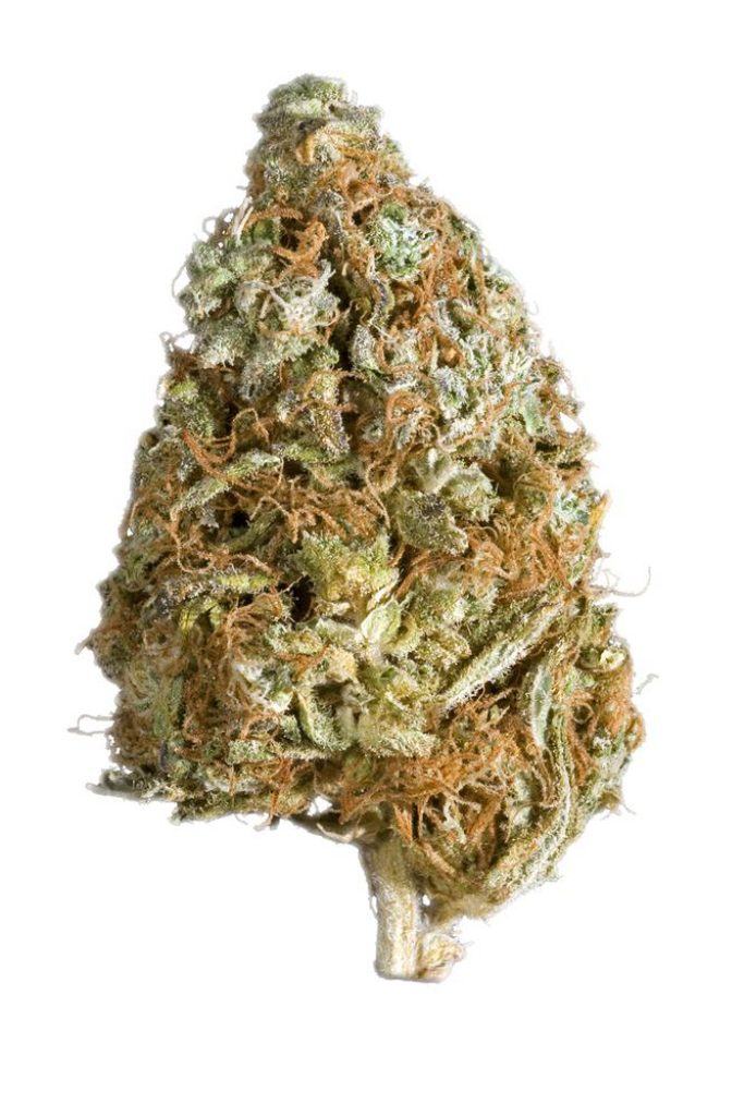 Booger Strain