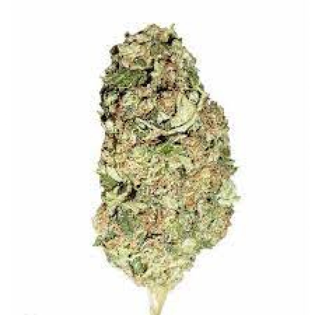 California Sour Diesel Strain