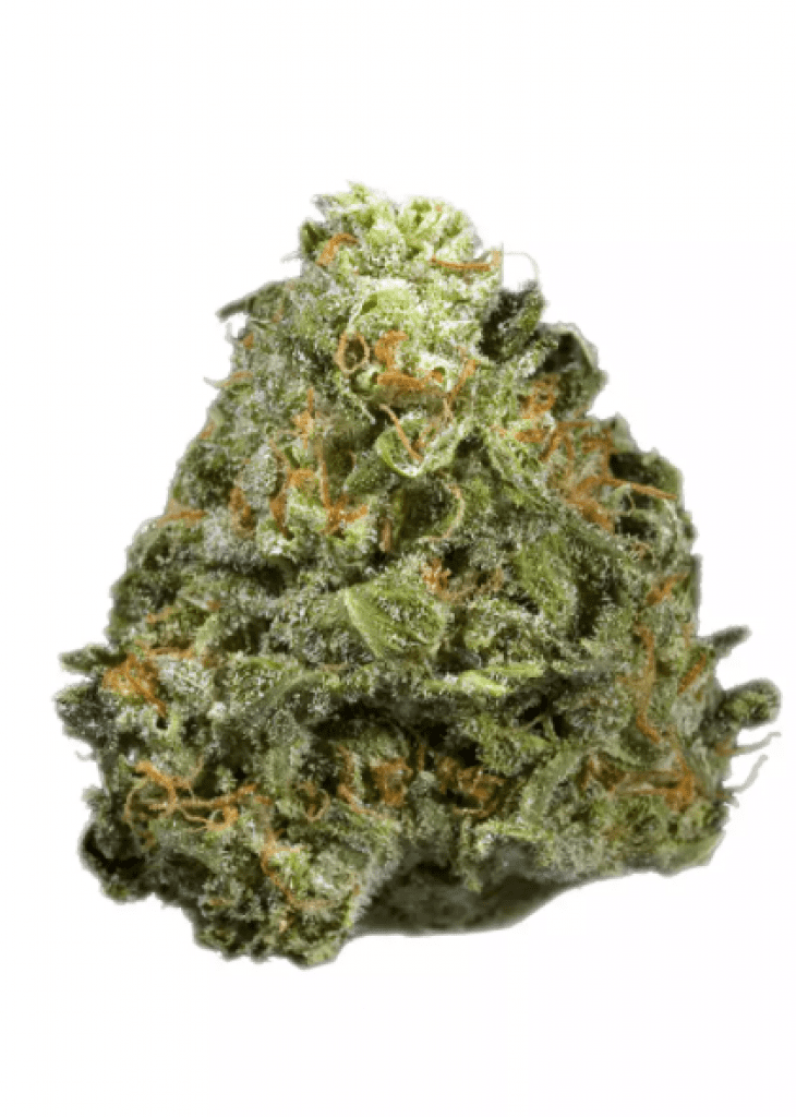 Hawaiian Cookies Strain