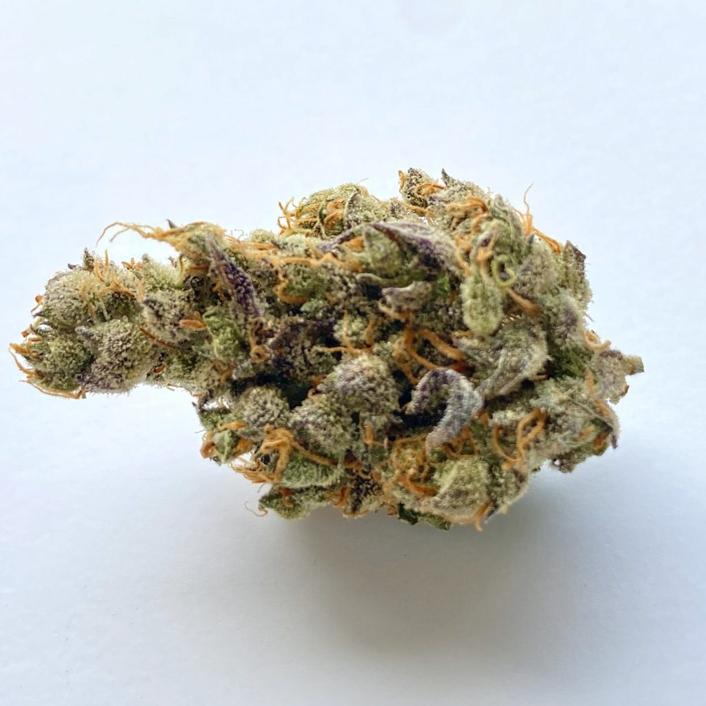 Ms. Universe Strain