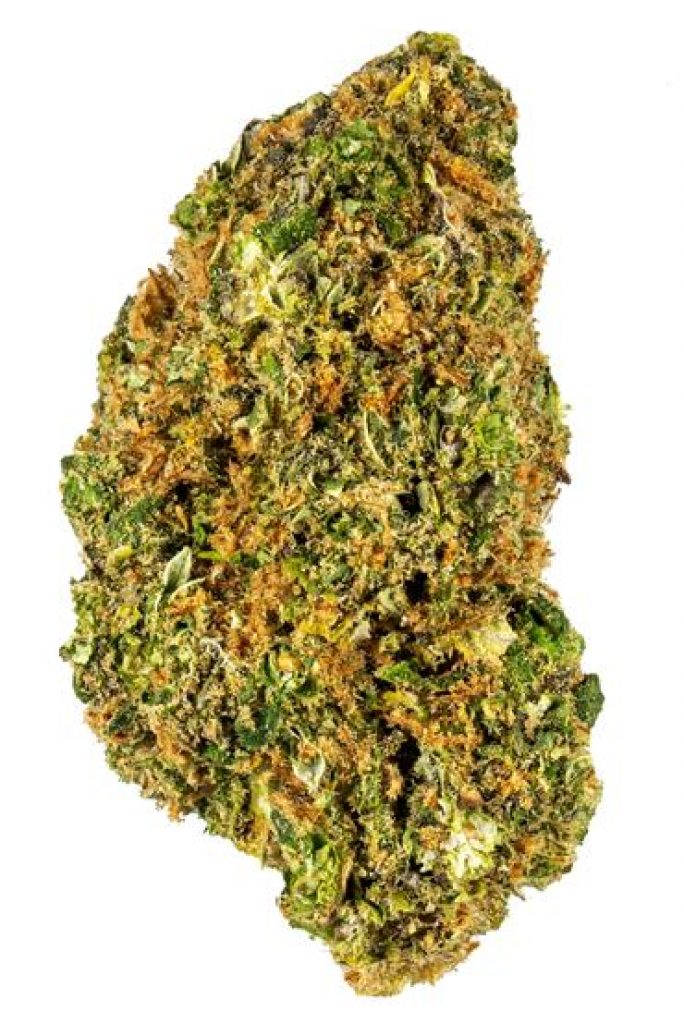 Seattle Cough Strain