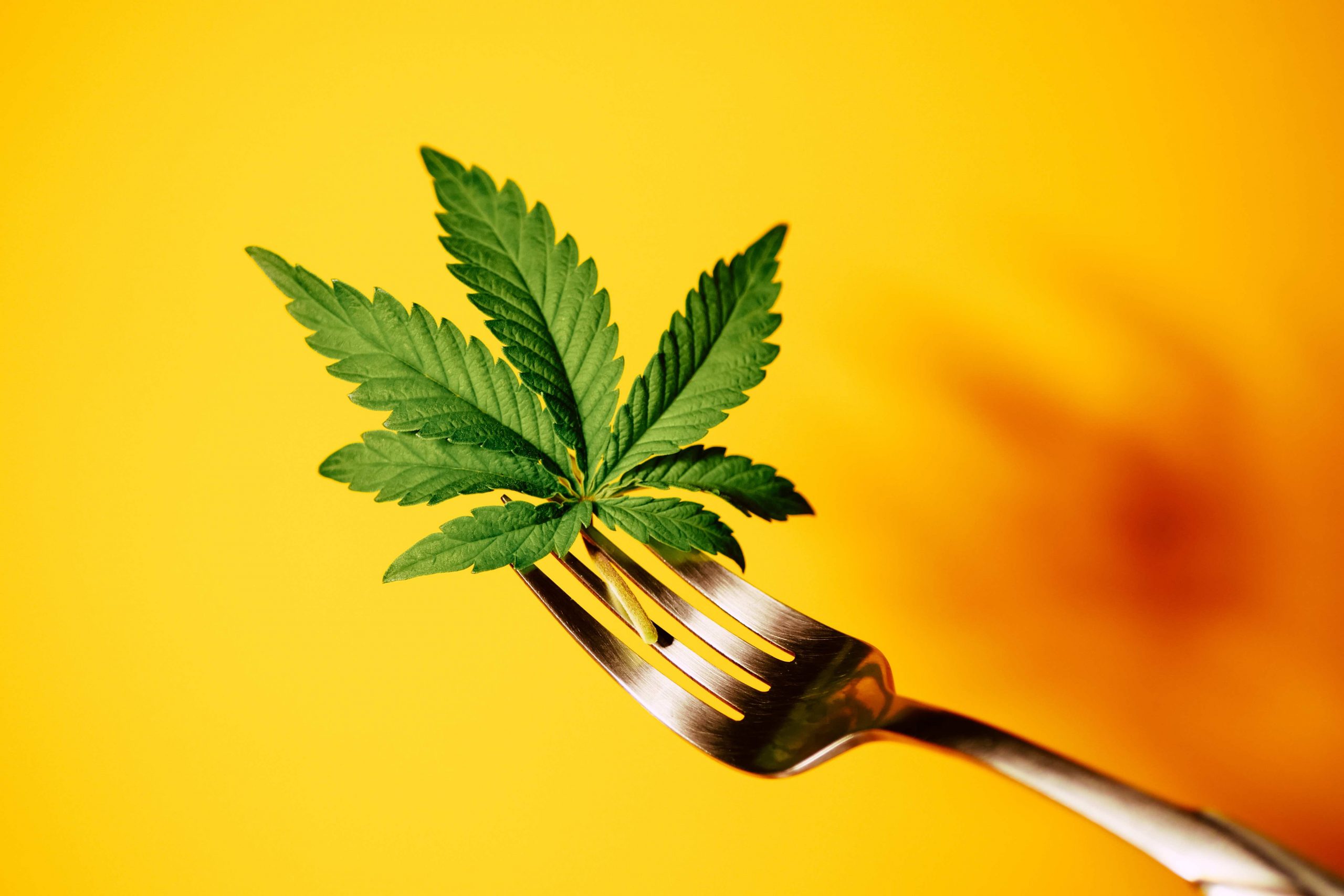 marijuana edible recipes