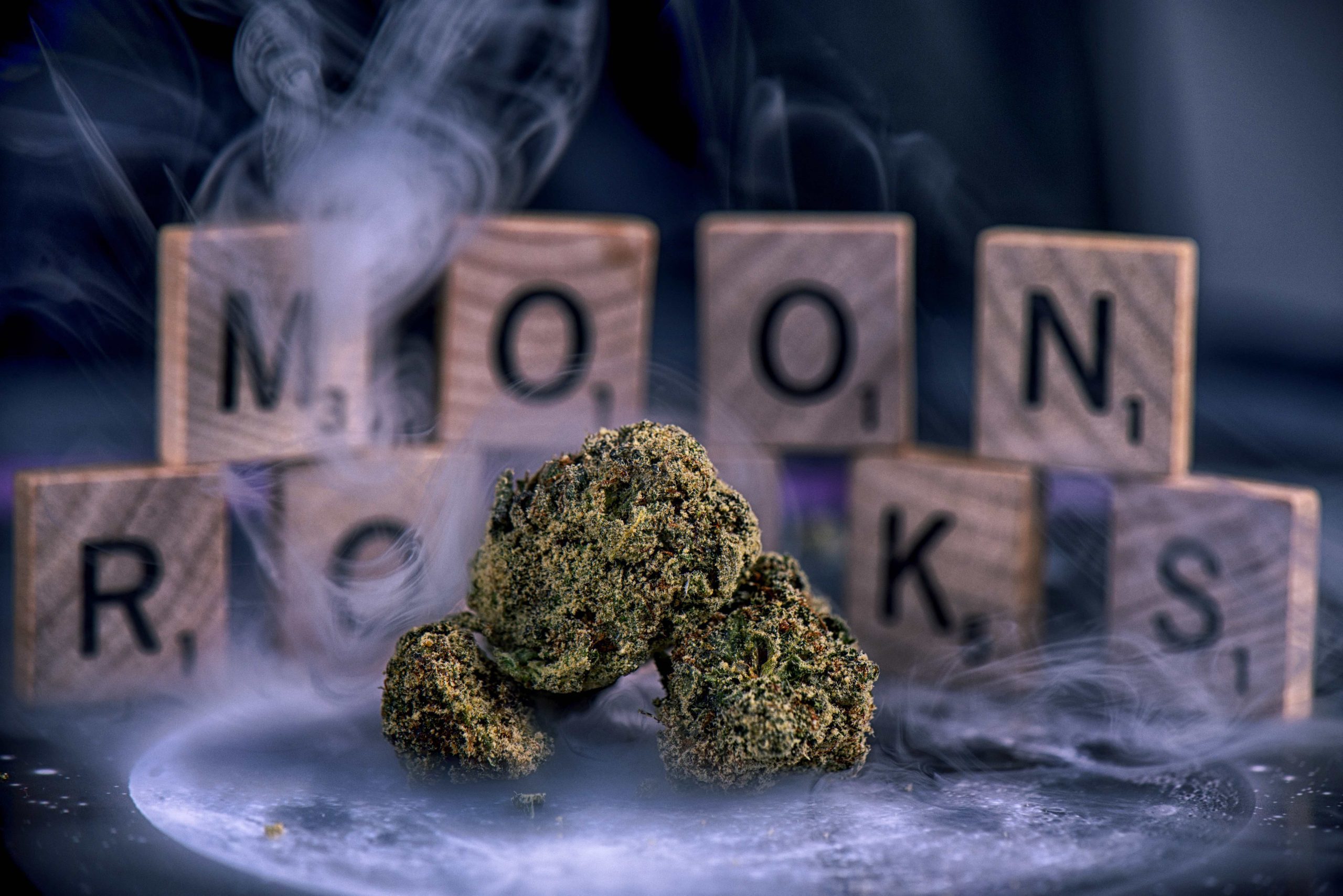 what are moon rocks