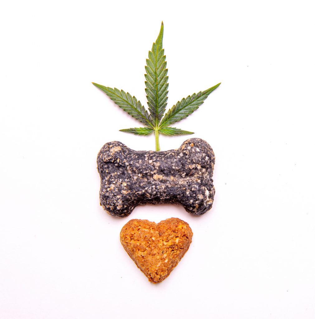 CBD treats