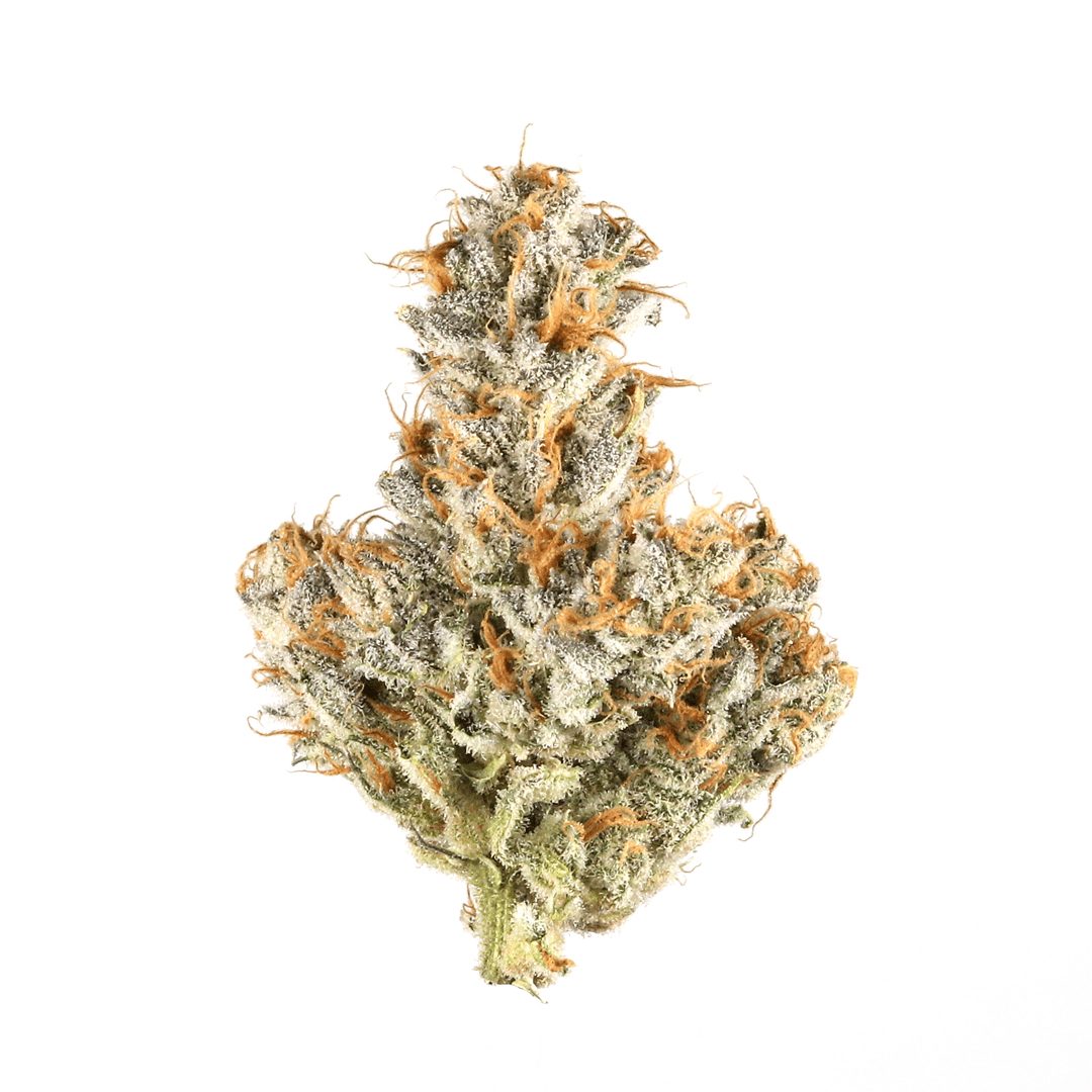 White Bubblegum Strain | Cannabis Strains Info | Flavor Fix