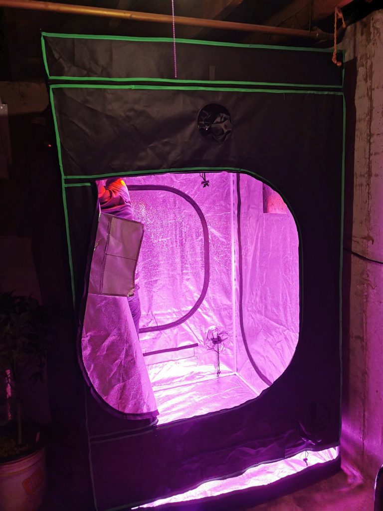 grow tent