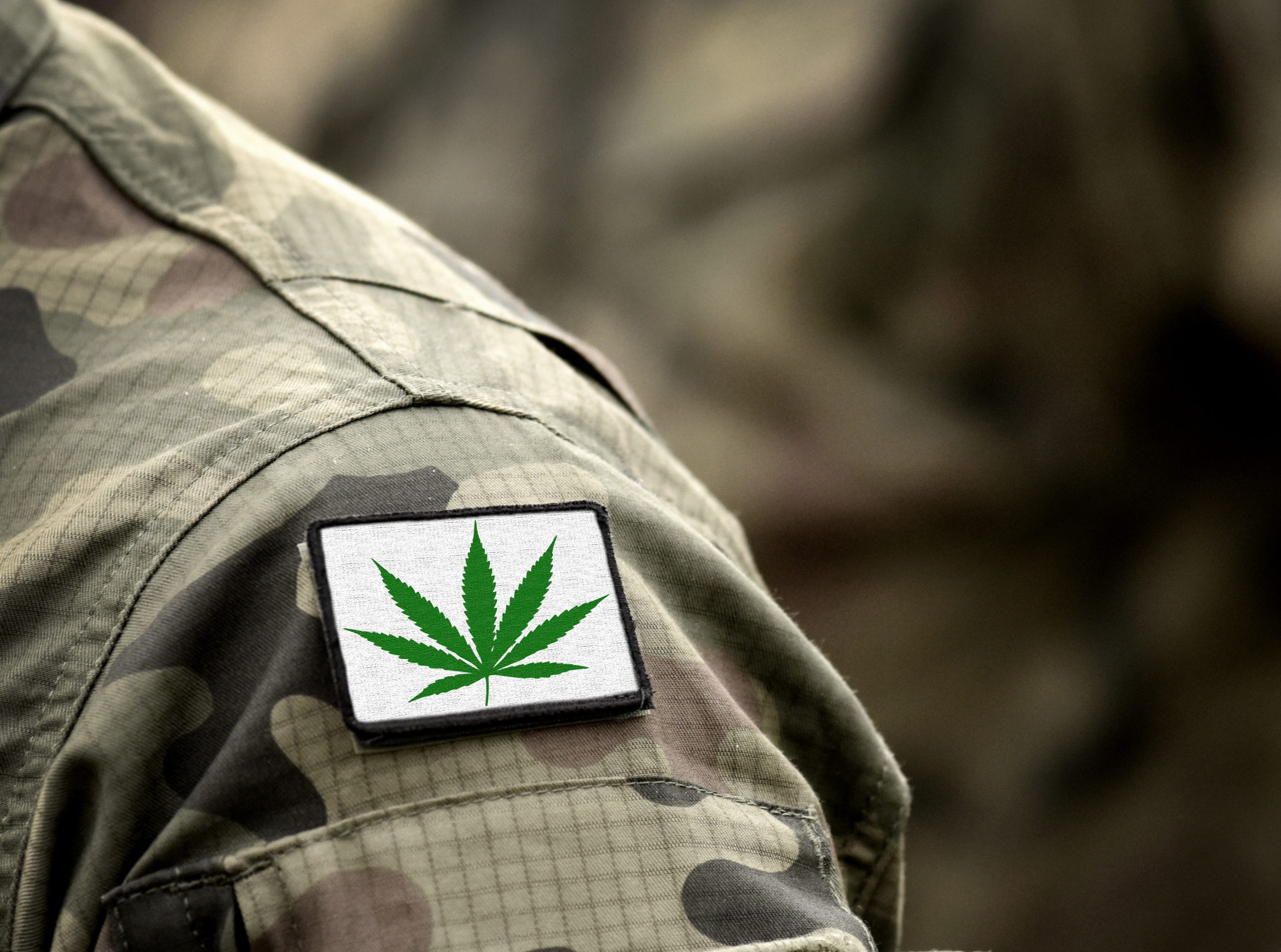 veterans and marijuana
