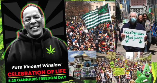 what-is-520-learn-about-520-cannabis-freedom-day-explained-flavor-fix