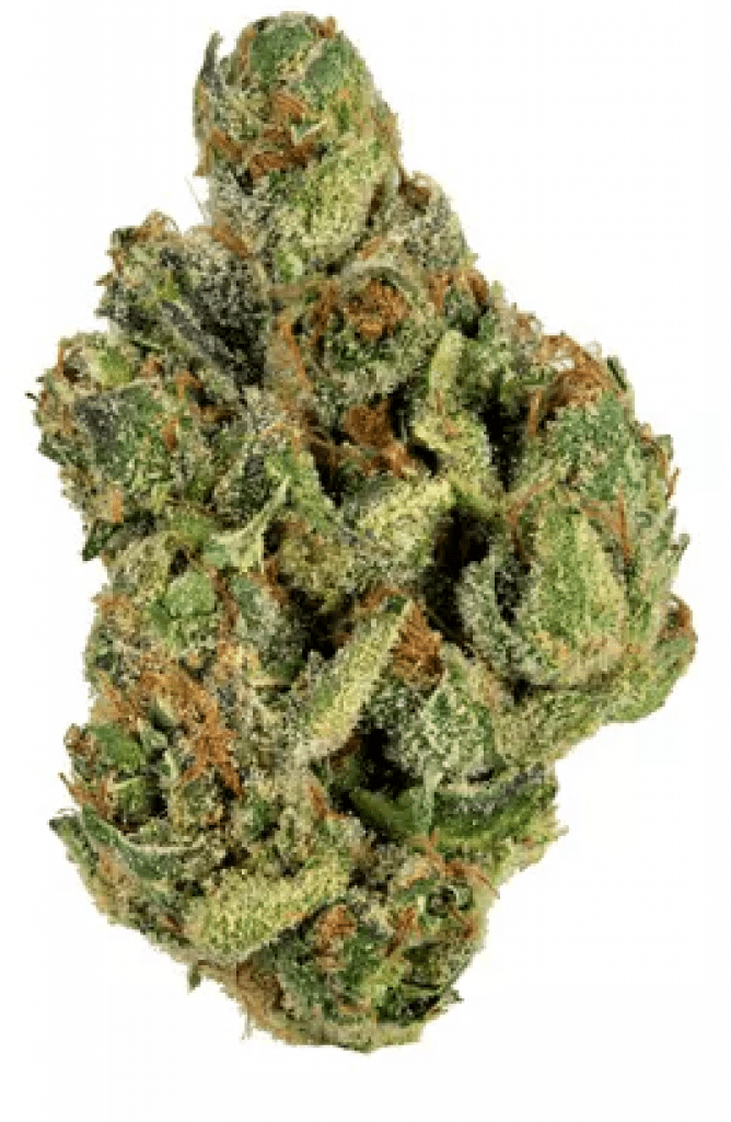 Clementine Strain