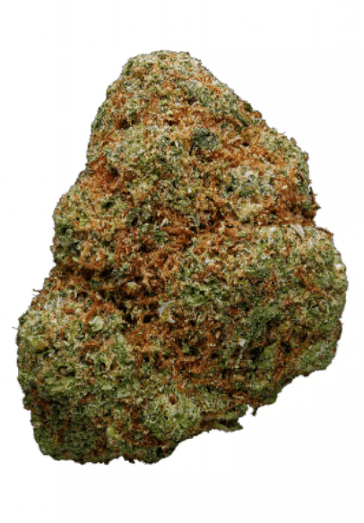 Golden Goat Strain