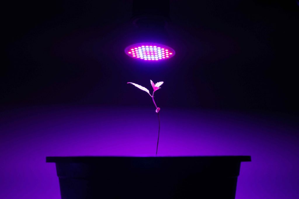 LED Grow Light 1536x1024 1