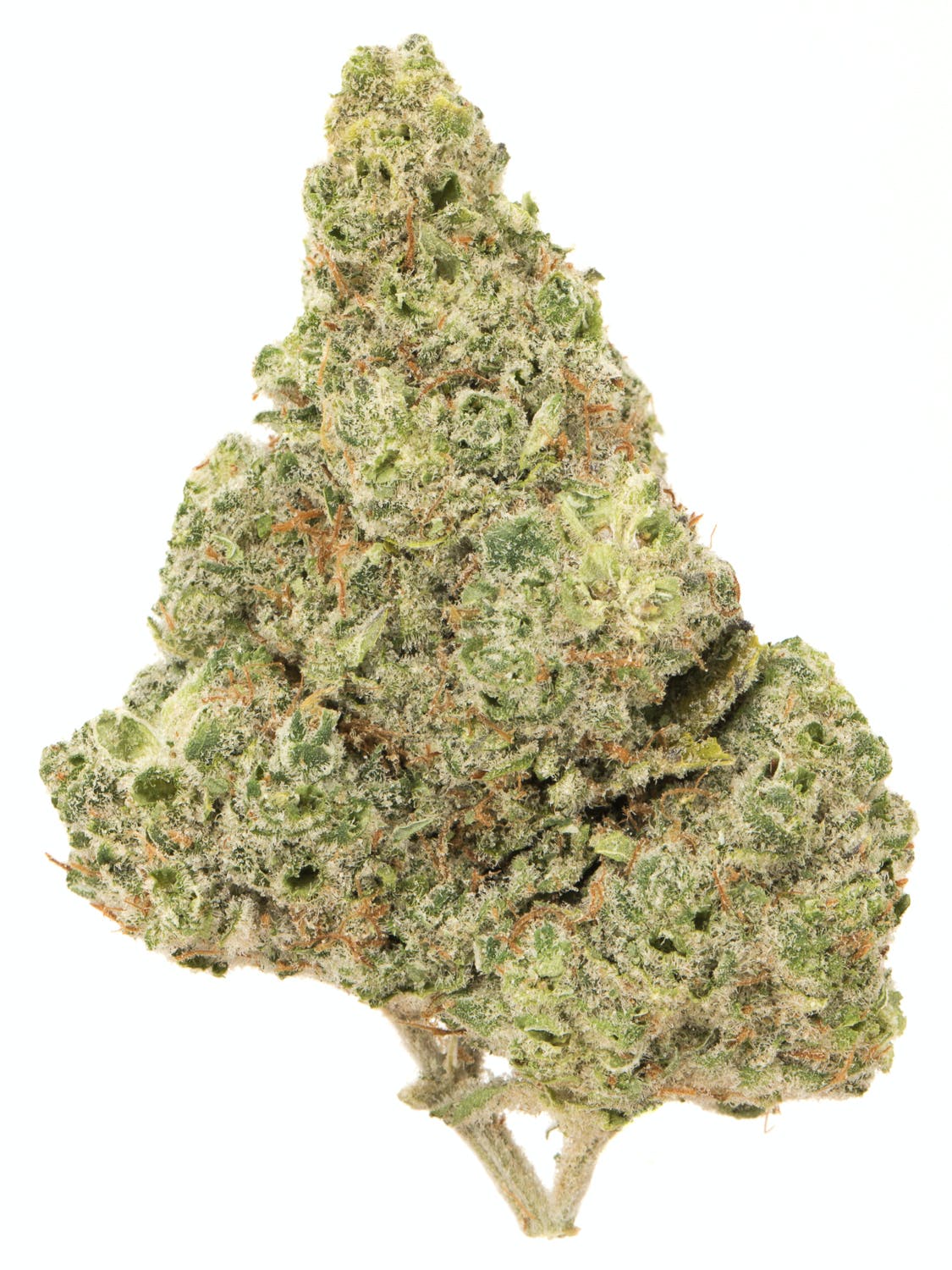 Key Lime Pie Strain Cannabis Strains Flavor Fix