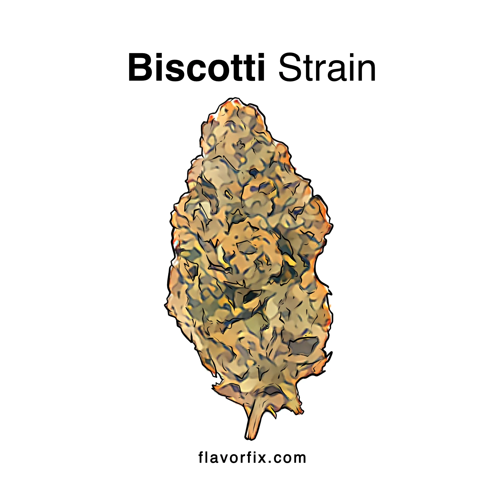 Biscotti Strain Cannabis Strains Information Flavor Fix